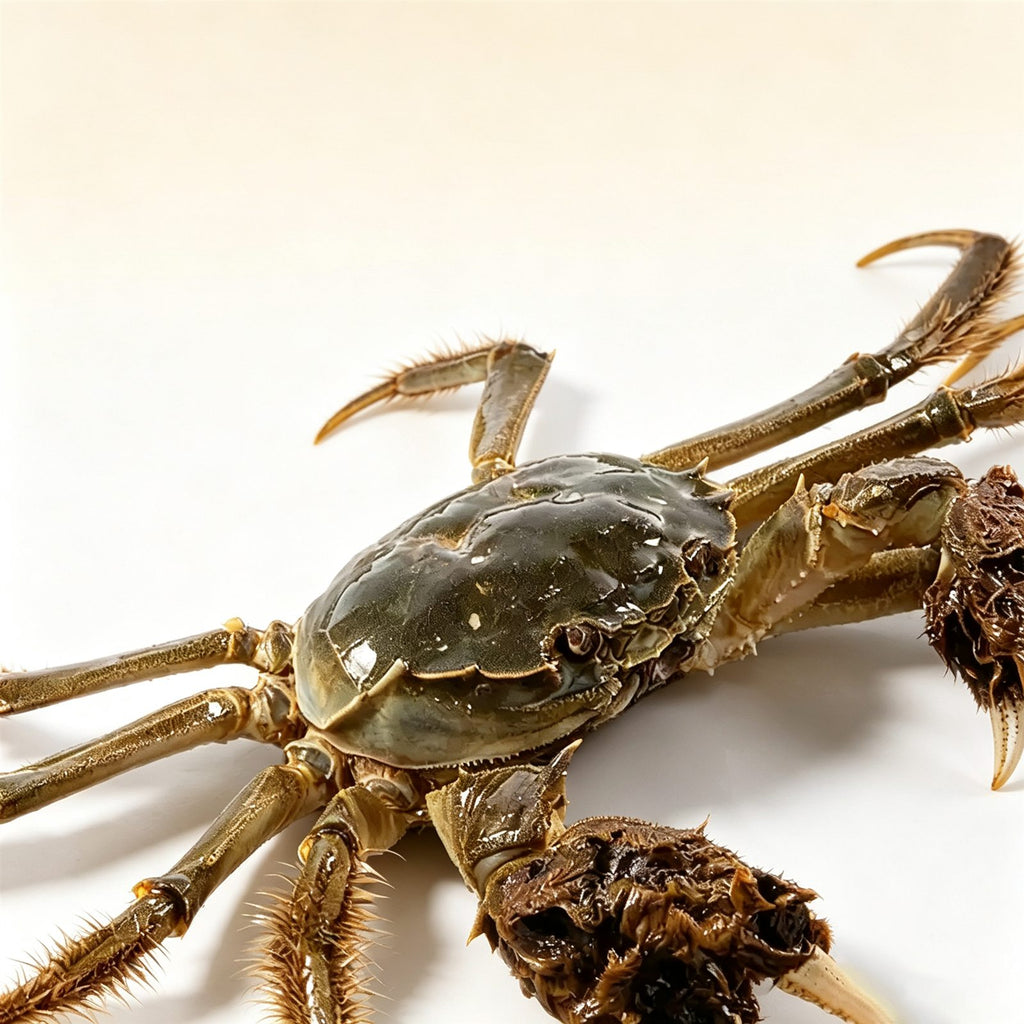 Suzhou Hairy Crabs